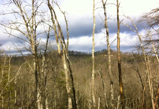 Red River Gorge - 13